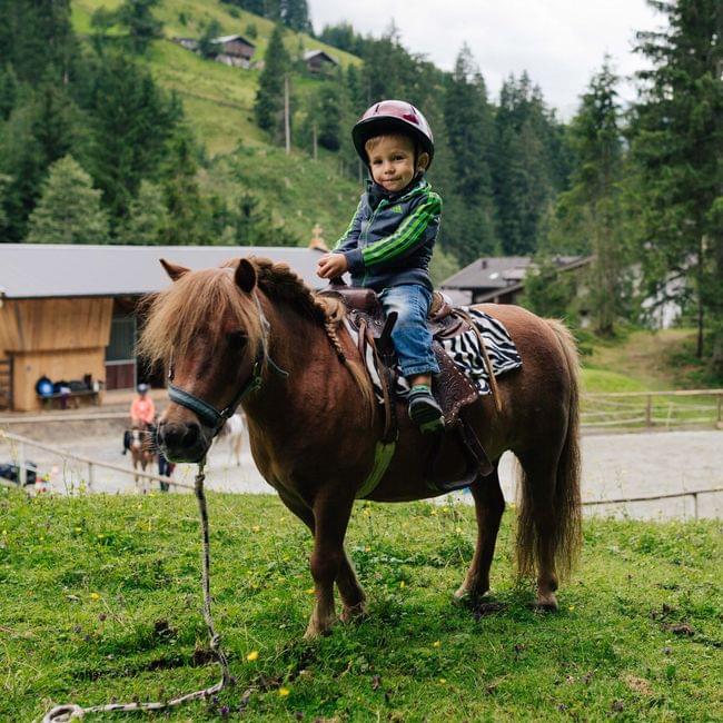 Bauernhof & Tiere